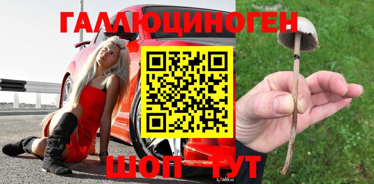 Галлюциногенные грибы MAGIC MUSHROOMS  где продают   Сыктывкар  Вход с VPN 